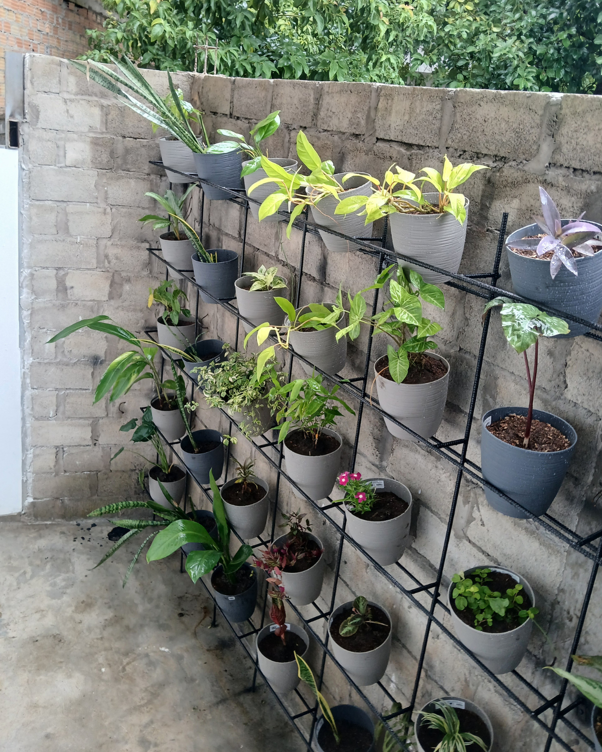 JARDIN-BOSQUE-ETERNO