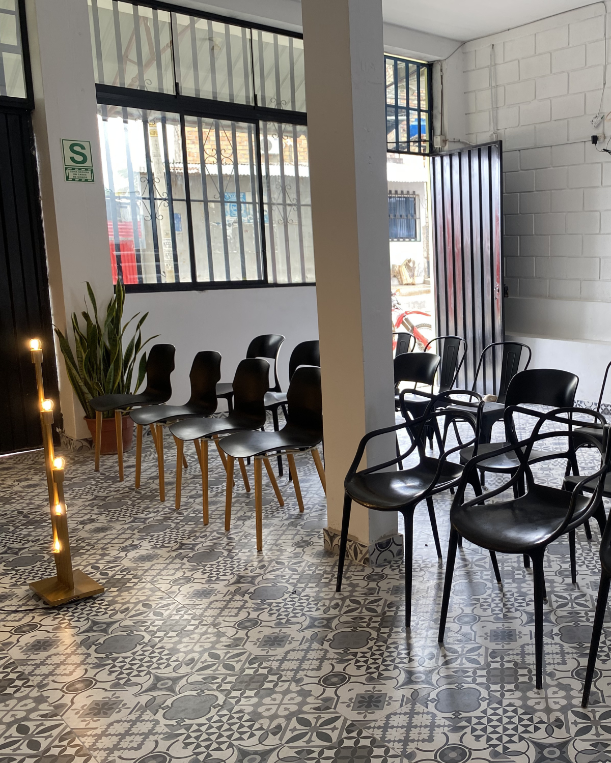 SILLAS-_-04-BOSQUE-ETERNO